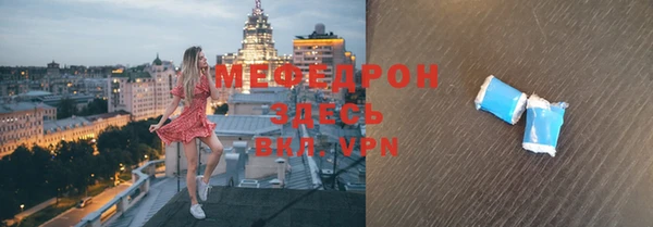 индика Елабуга