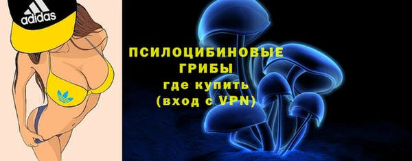 apvp Заводоуковск