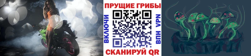 Псилоцибиновые грибы GOLDEN TEACHER  Кизел 